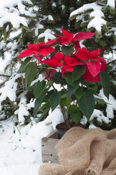 Similar image 13297817