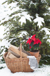 Similar image 13297821