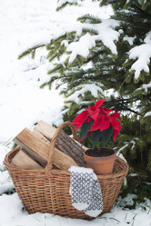 Similar image 13297829