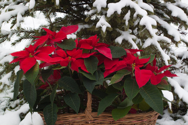 Similar image 13297832