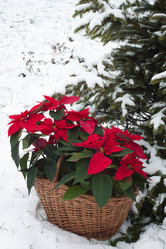 Similar image 13297836