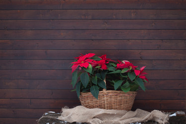 Similar image 13297837