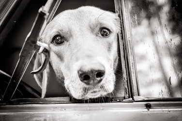 Similar image 13305461