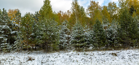 Similar image 13296439