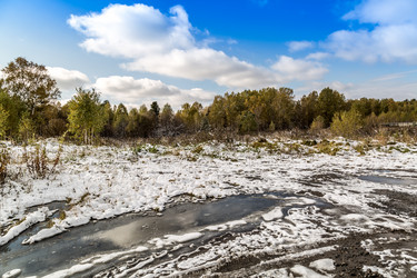 Similar image 13296440