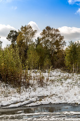 Similar image 13296441