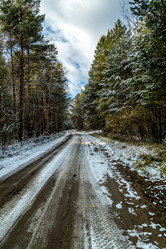 Similar image 13296443