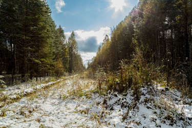 Similar image 13296445