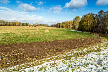 Similar image 13296447