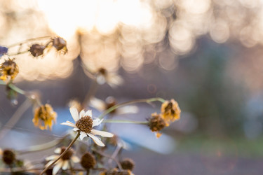 Similar image 13296450