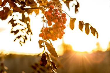 Similar image 13296451