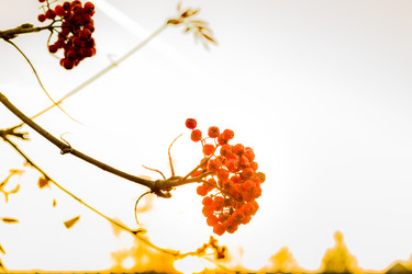 Similar image 13296452