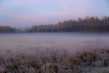 Similar image 13301143