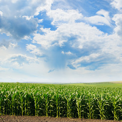 Similar image 13300145