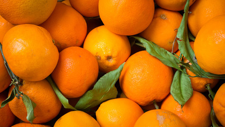 Similar image 13297298