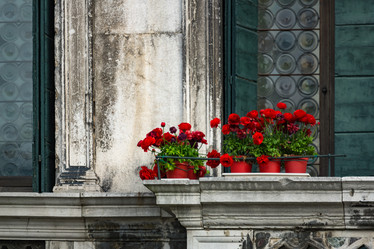 Similar image 13297312