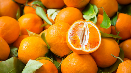 Similar image 13297336