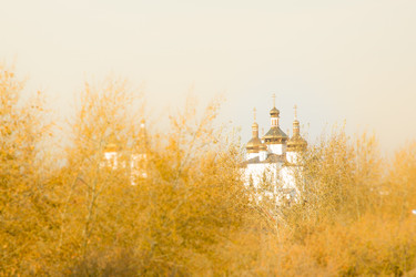 Similar image 13301156