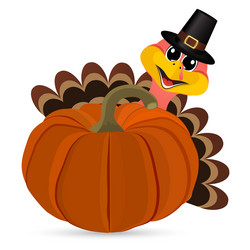 Similar image 13297800