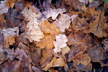 Similar image 13306077