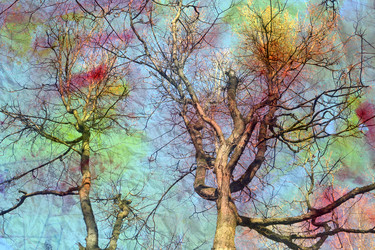 Similar image 13306078