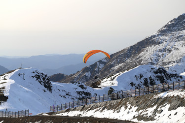 Similar image 13306055