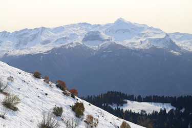 Similar image 13306056