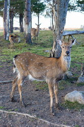 Similar image 13300858