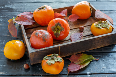 Similar image 13300106