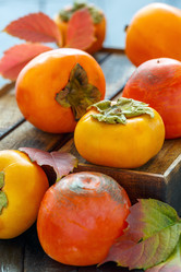 Similar image 13300107