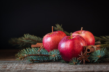 Similar image 13297859