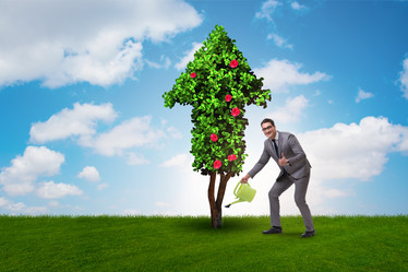 Similar image 13308136