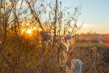 Similar image 13301177