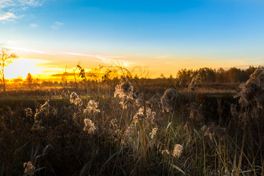 Similar image 13301178