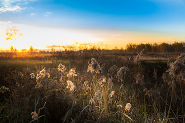 Similar image 13301179