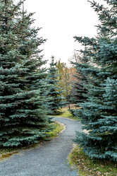 Similar image 13301180