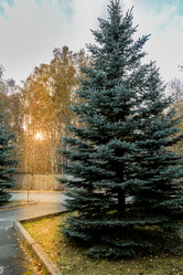 Similar image 13301181