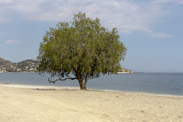 Similar image 13300105