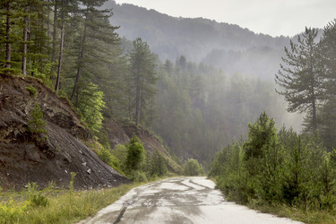 Similar image 13300116