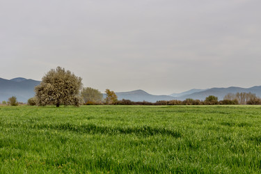 Similar image 13300135