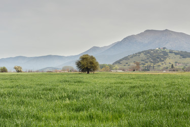 Similar image 13300141