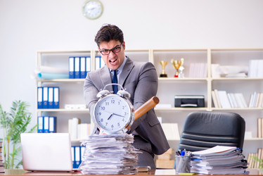 Similar image 13308080