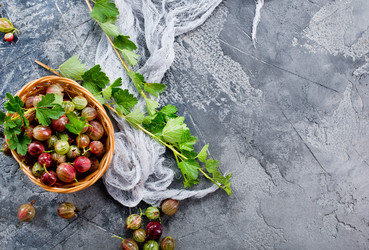 Similar image 13307497