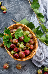 Similar image 13307507