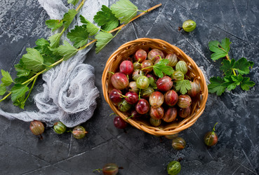 Similar image 13307509