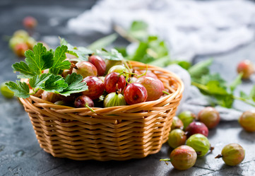 Similar image 13307512