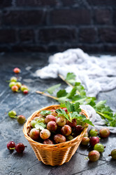 Similar image 13307515