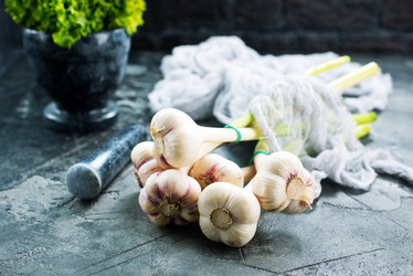 Similar image 13307516