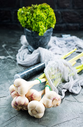 Similar image 13307479