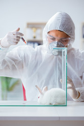 Similar image 13298865